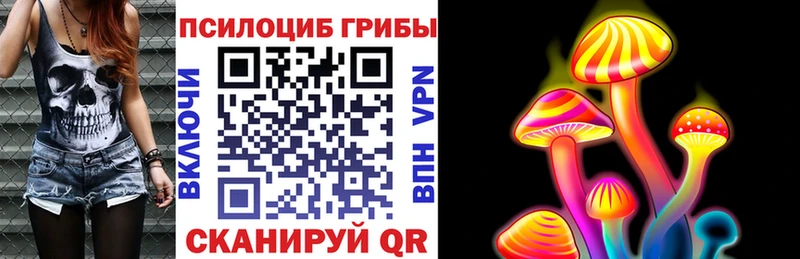 Псилоцибиновые грибы ЛСД  hydra ССЫЛКА  darknet клад  Нурлат 